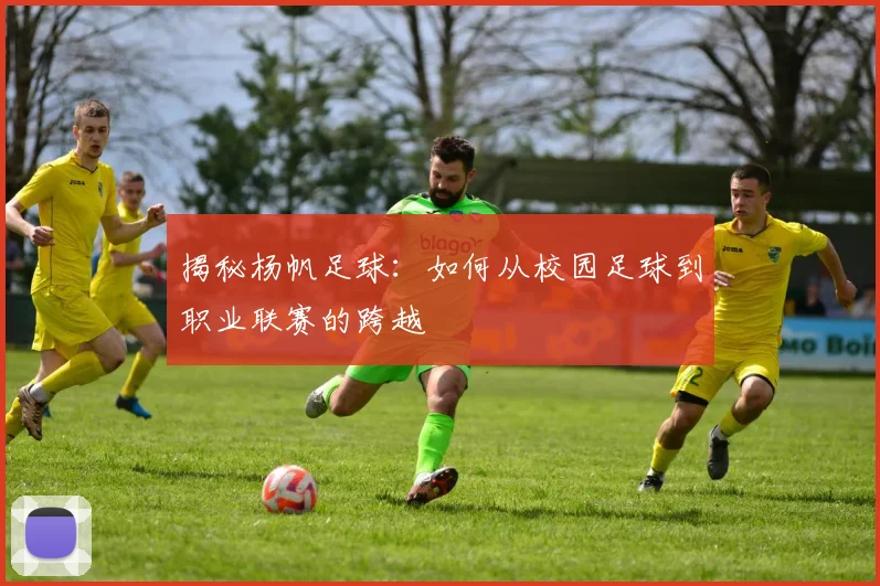 揭秘杨帆足球:如何从校园足球到职业联赛的跨越